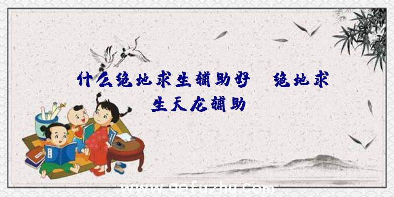 「什么绝地求生辅助好」|绝地求生天龙辅助